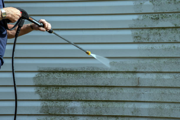 Best Roof Power Washing Services  in Daly City, CA